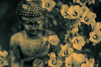 Photo of Buddha statue among hibuscus blooms
